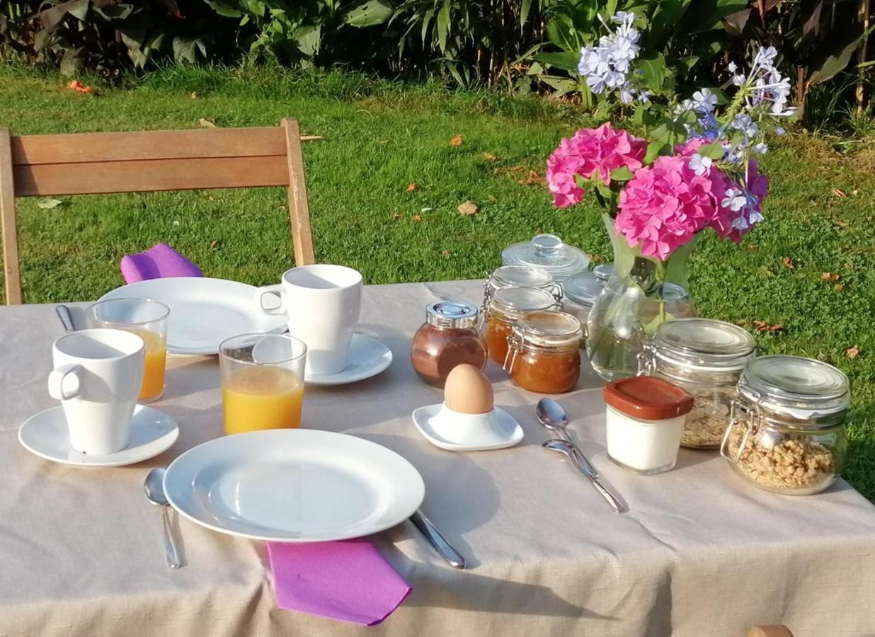 Bed and Breakfast Domaine De La Castagnere Castetnau-Camblong Exterior foto